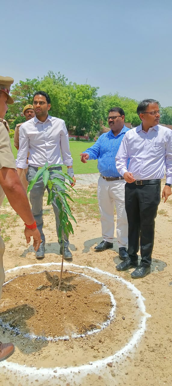 जिलाधिकारी ने विश्व पर्यावरण दिवस पर “एक पेड़ मॉ के नाम” की थीम पर किया पौधारोपण