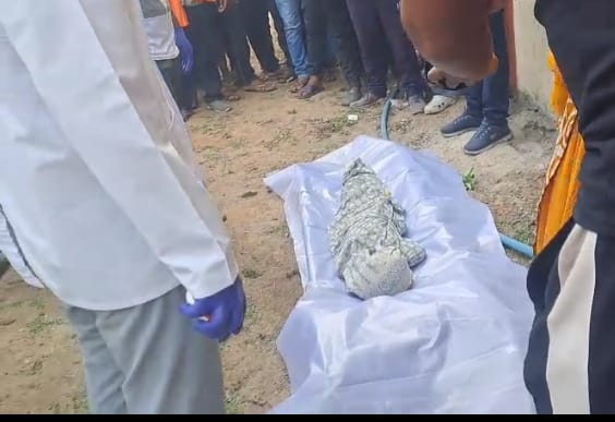 7 वर्षीय बच्ची को तेज रफ्तार कार ने मारी टक्कर,हुआ बच्ची घायल,बच्ची को कार में डालकर रातभर भागता रहा आरोपी,हरदी बाजार पुलिस ने घेराबंदी कर आरोपी को किया गिरफ्तार,जाँच में जुड़ी फोरेंसिक टीम,हरदी बाजार पुलिस का रहा खास योगदान,क्षेत्र में फैली सनसनी।