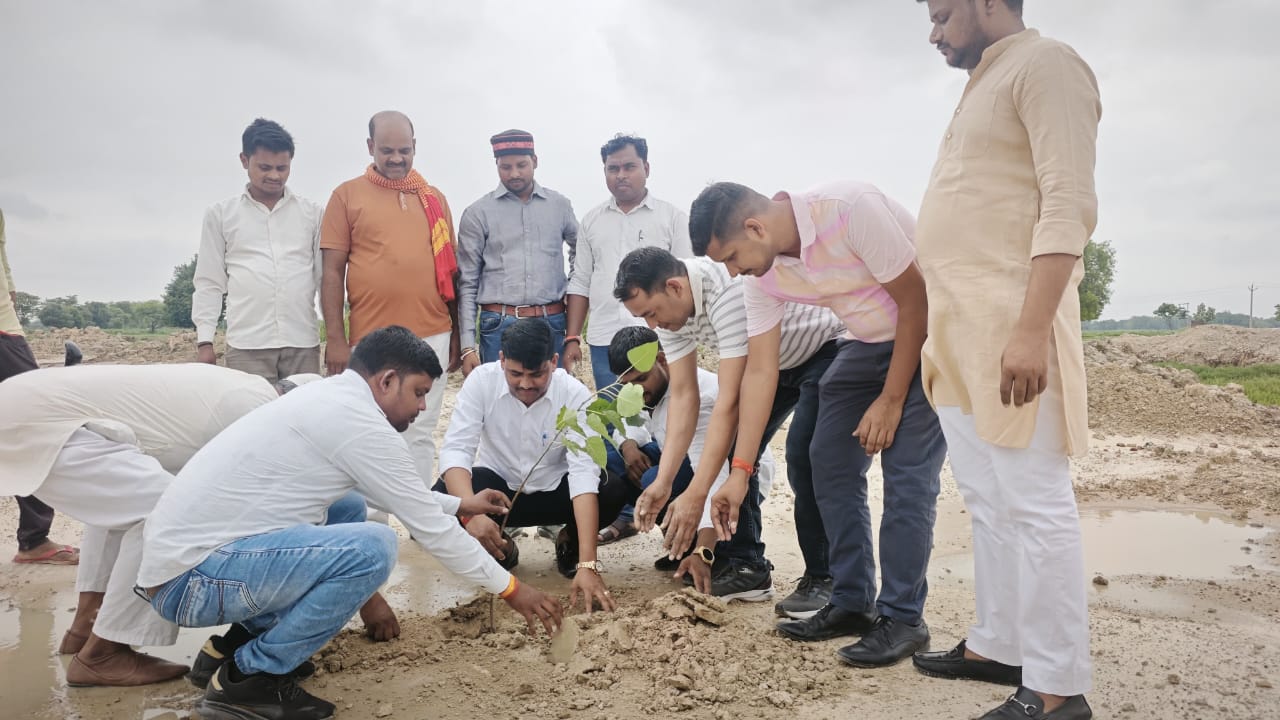 नगर पालिका अध्यक्ष मंझनपुर ने किया पौध रोपण लोगों से की पौधा लगाने की अपील
